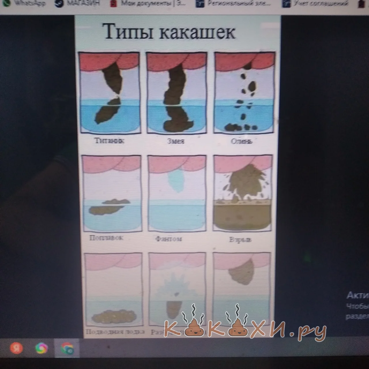 Типы какашек ( Непонятная )
