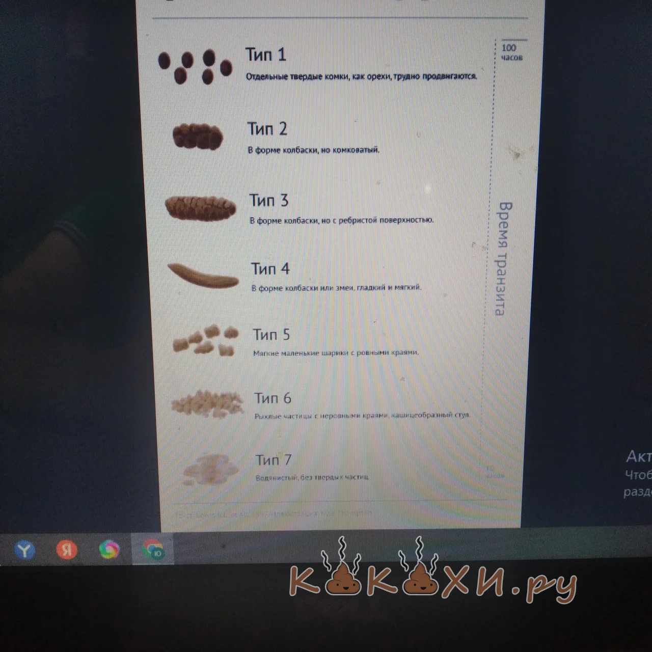 Типы какашек 2 ( Непонятная )