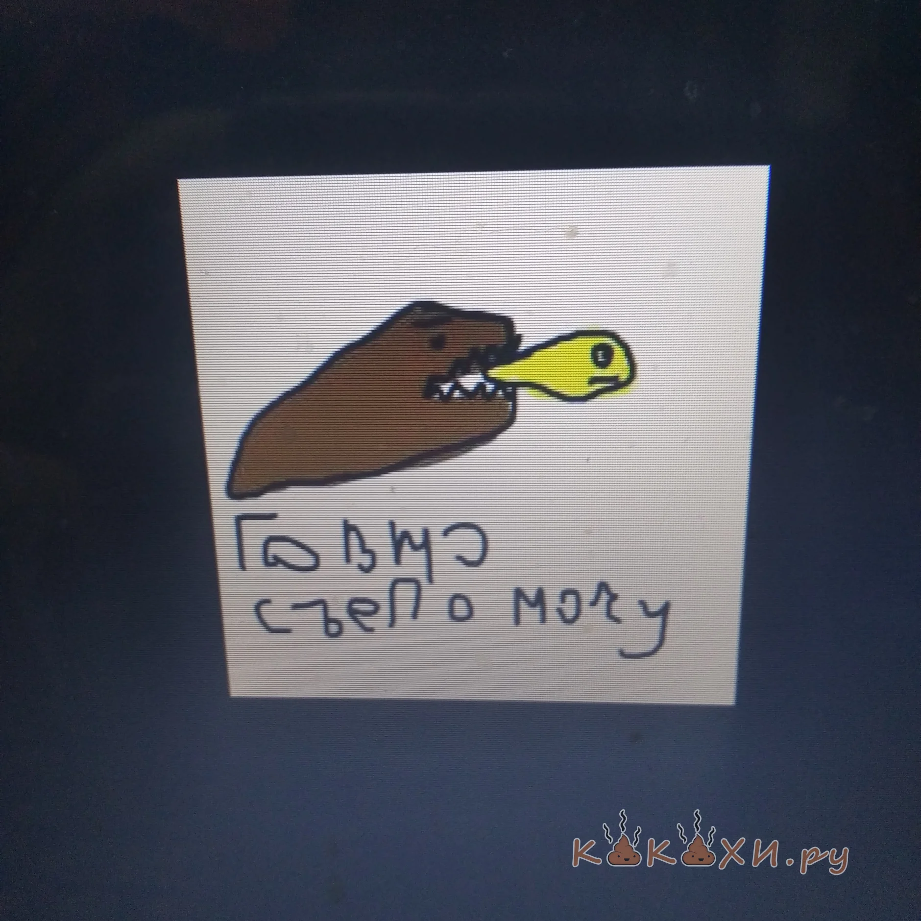 Говно съела мочу ( Непонятная )