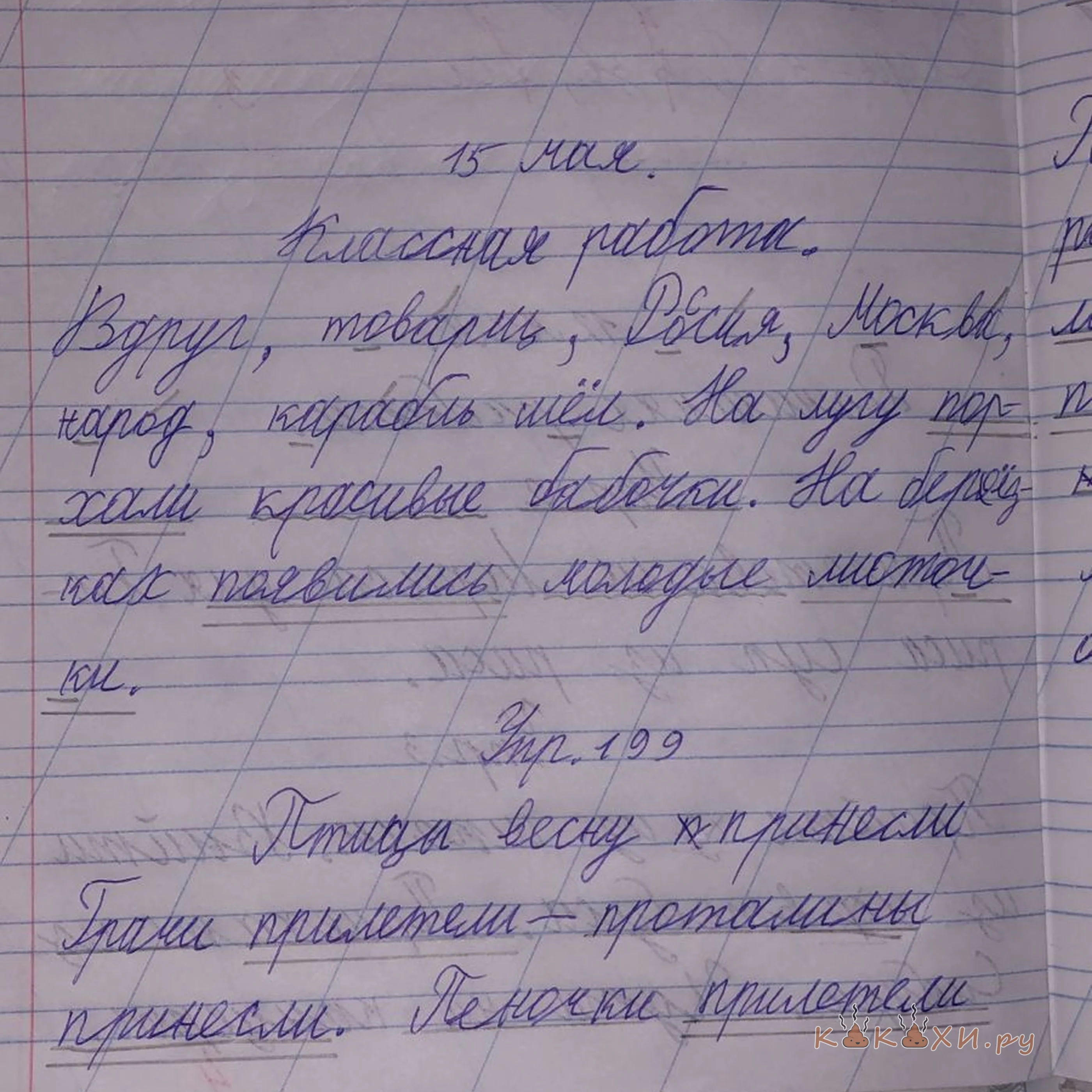 математичка гонво ( Непонятная )
