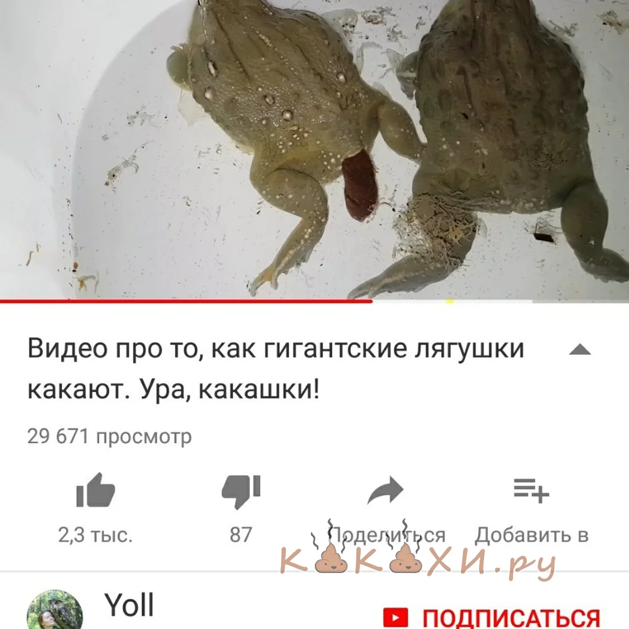 Лягушьи какашки ( Сосиска )