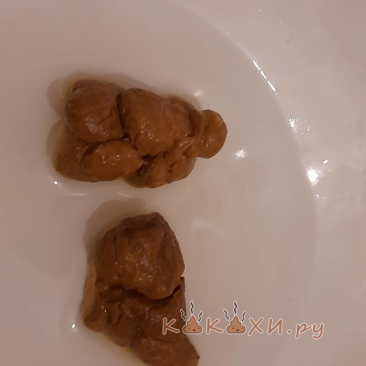 Просто кака ( Ошметки )