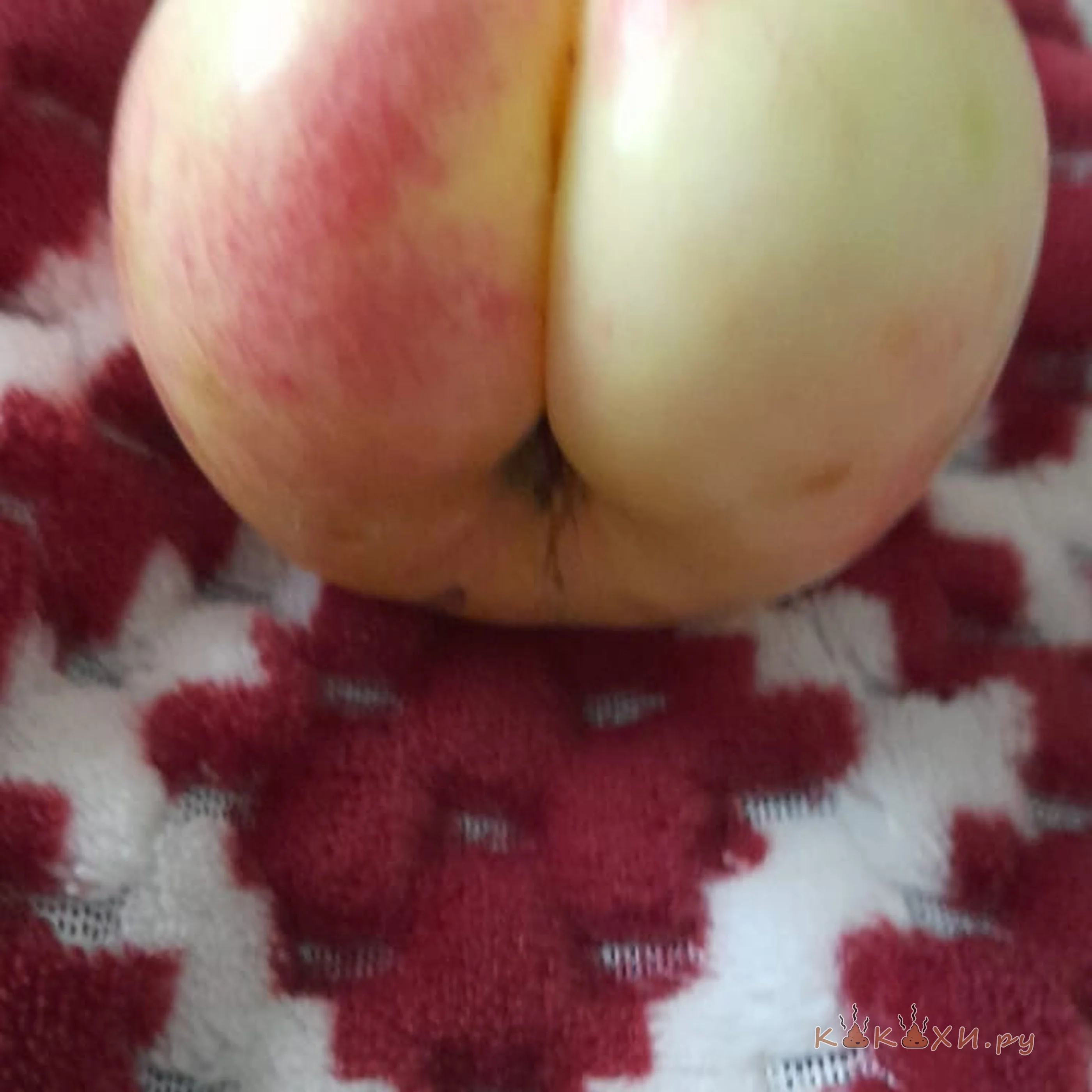 Яблоко ( Мой туалет )