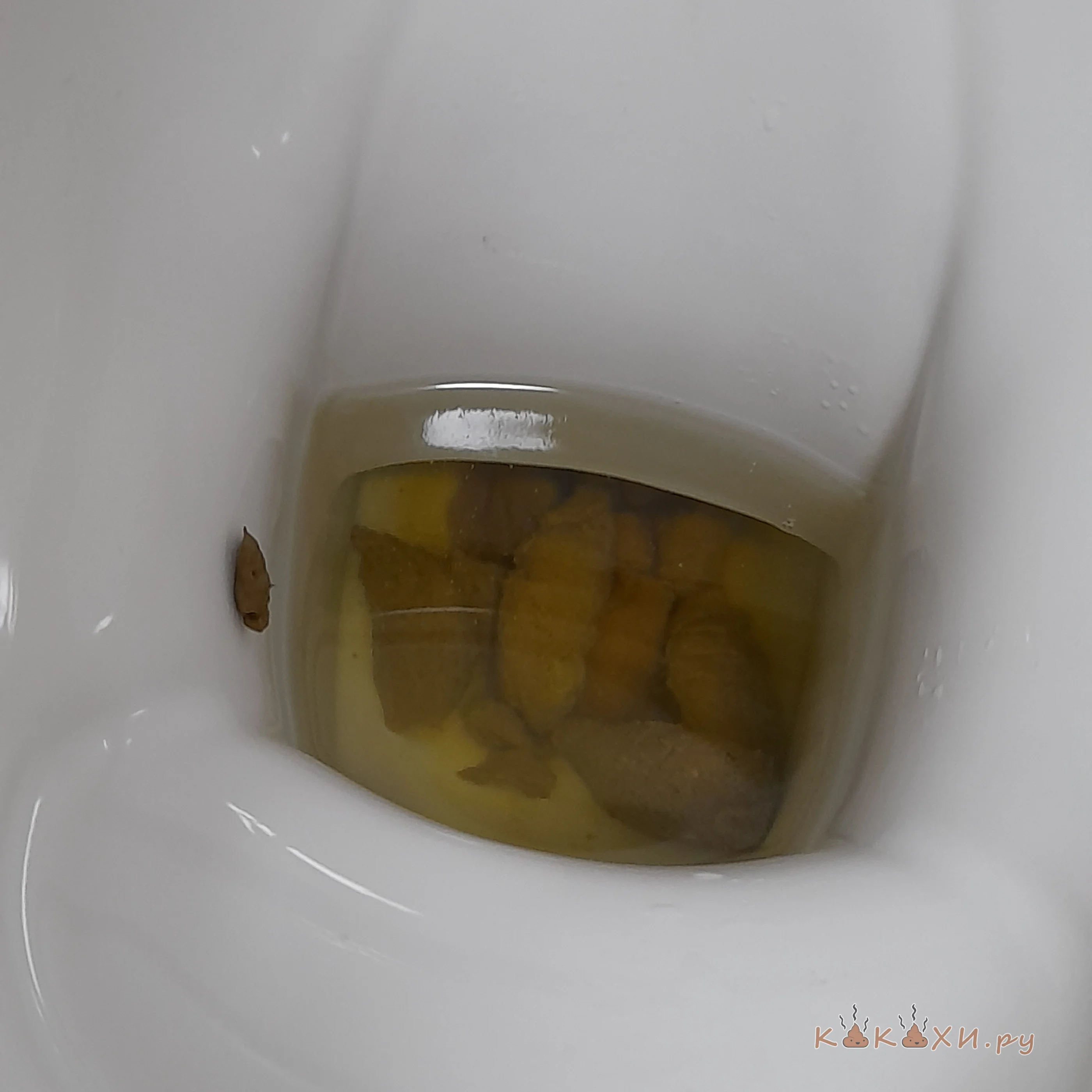 Какич ( Сосиска )