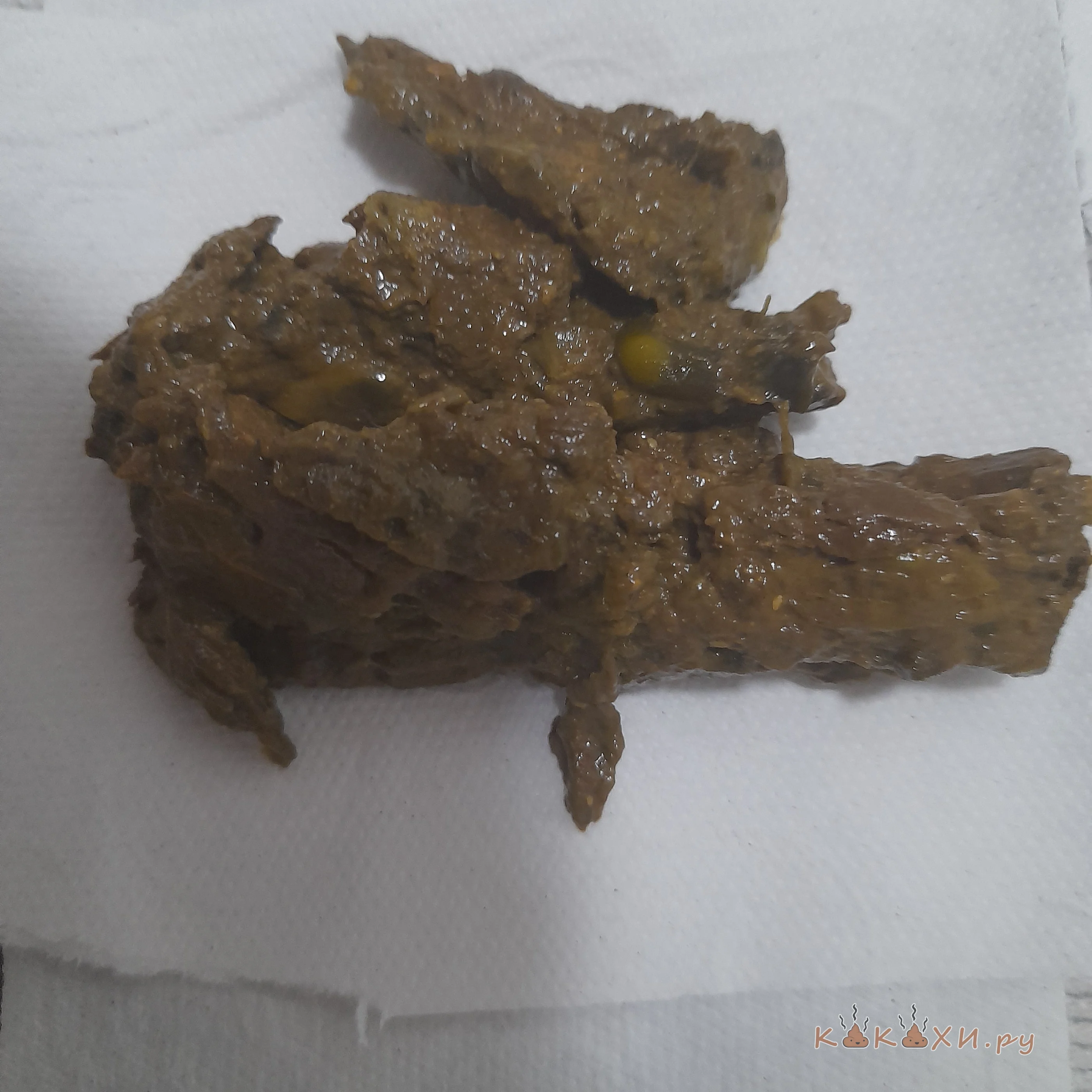 Кучка ( Мой туалет )