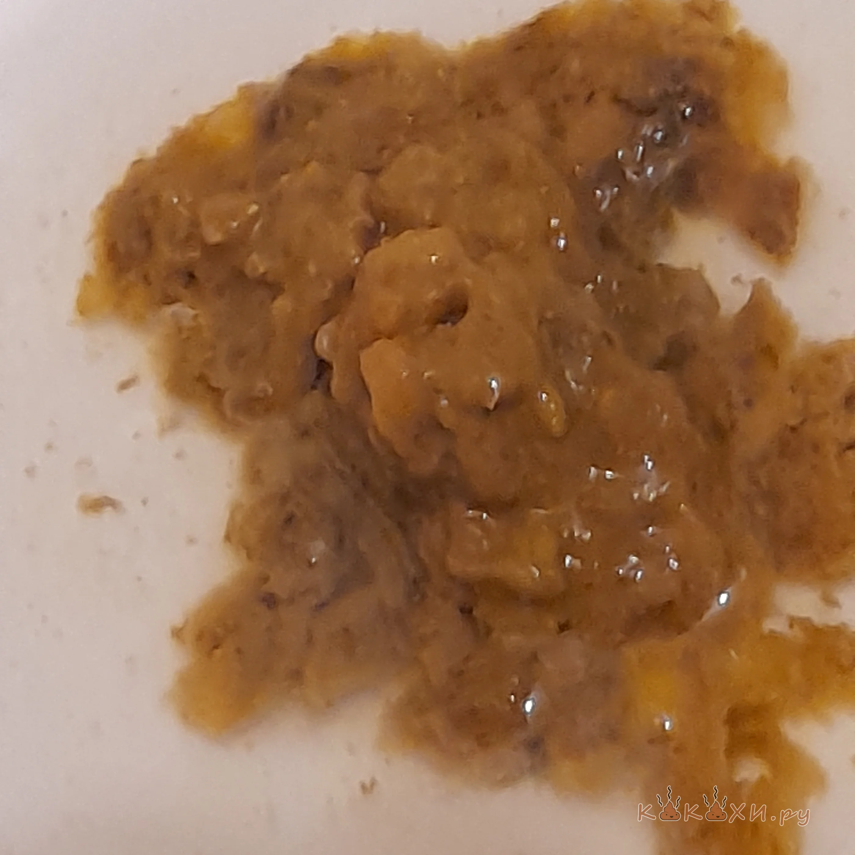 Подливон с остатками кукурузы ( Брызги )