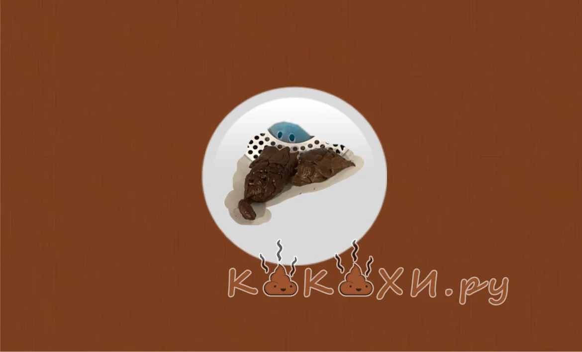 НАШ ФЛАГ! ( Человек говно )