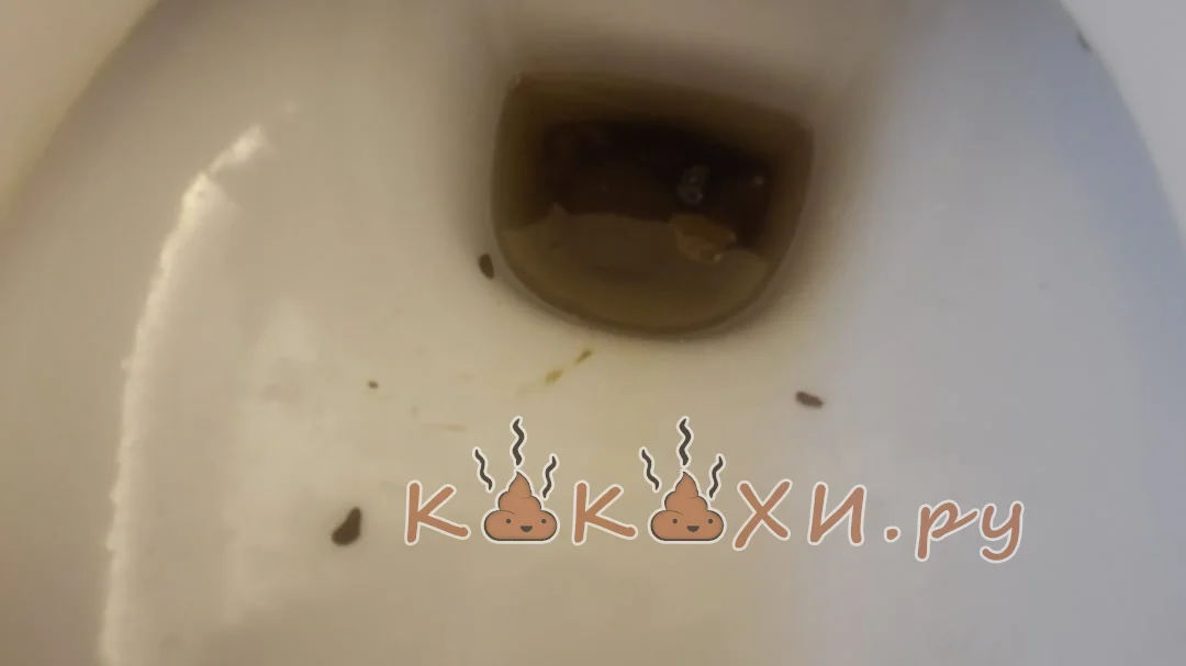 В. Кандинский ( Козья )