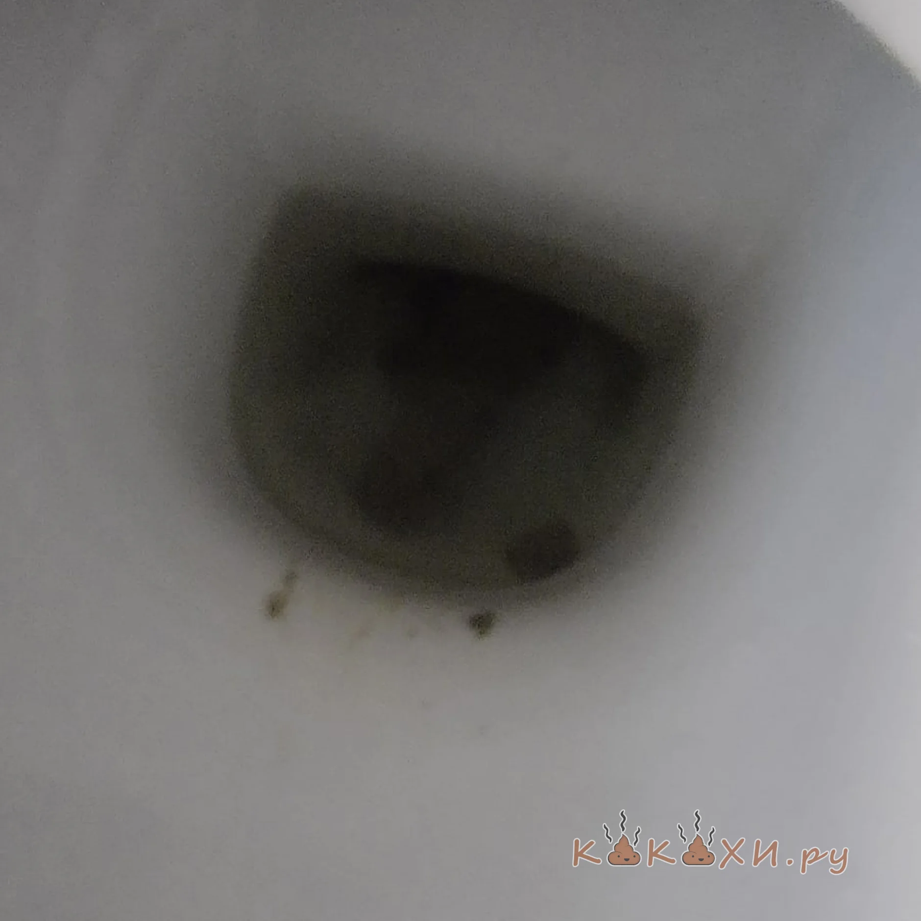 Glory hole 2 ( Сосиска )