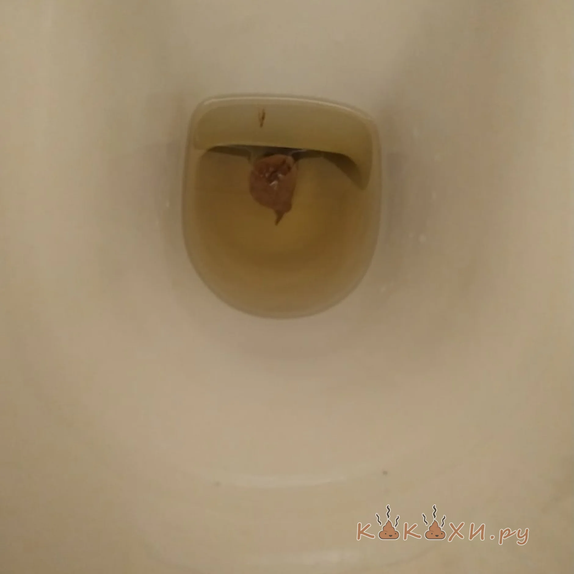 Взгляд ( Козья )