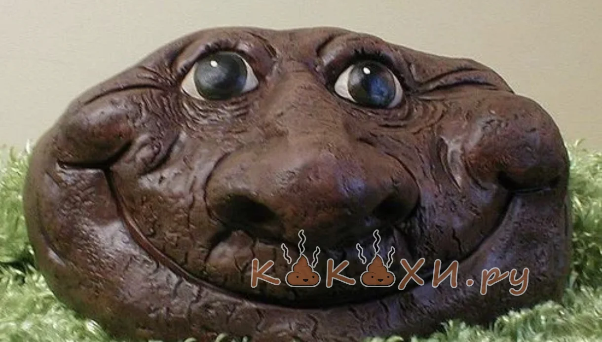 ЛЕПЕШЕЧКА ( Непонятная )