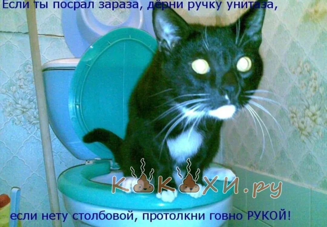 Великие слова ( Непонятная )