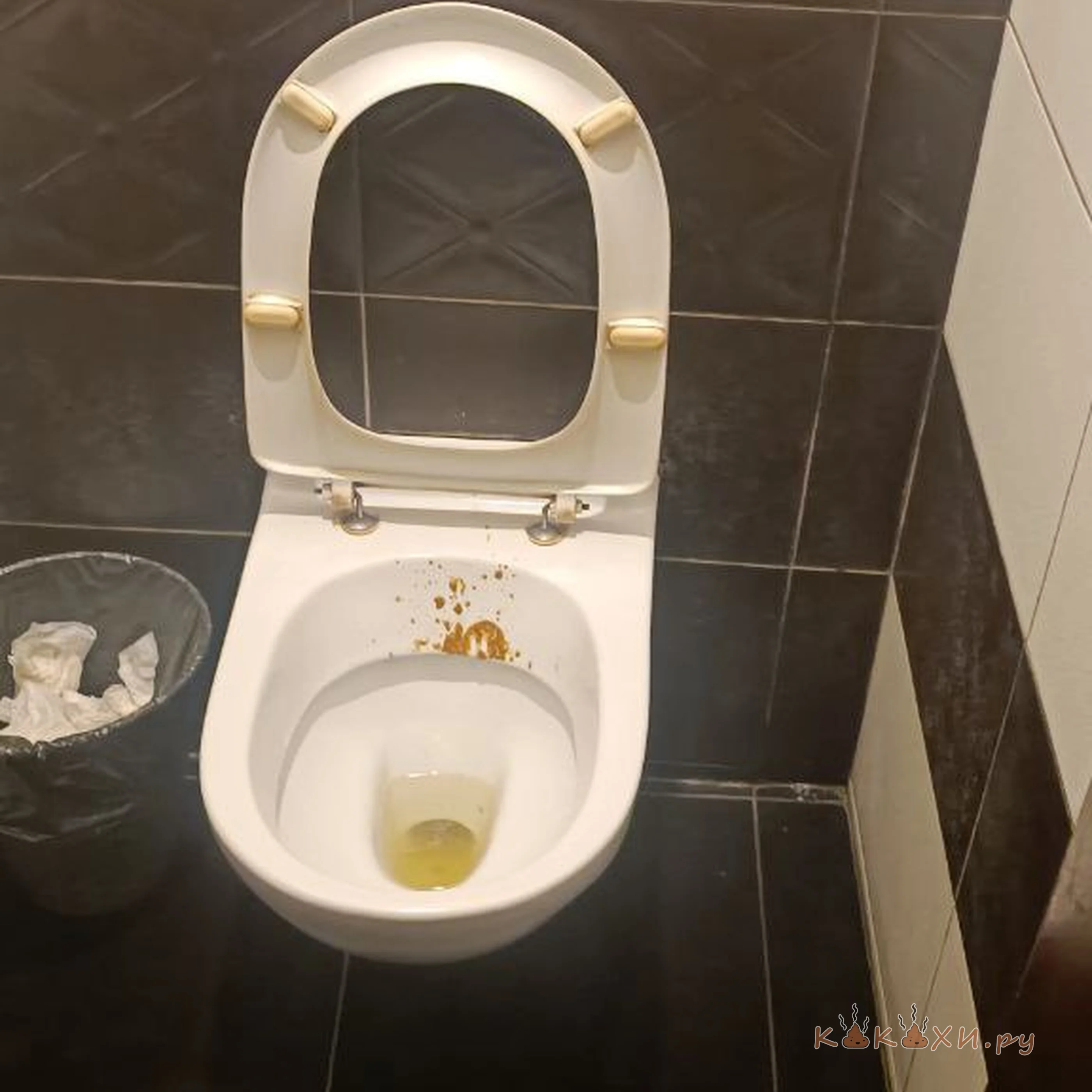 В киме насрано ( Подлива )