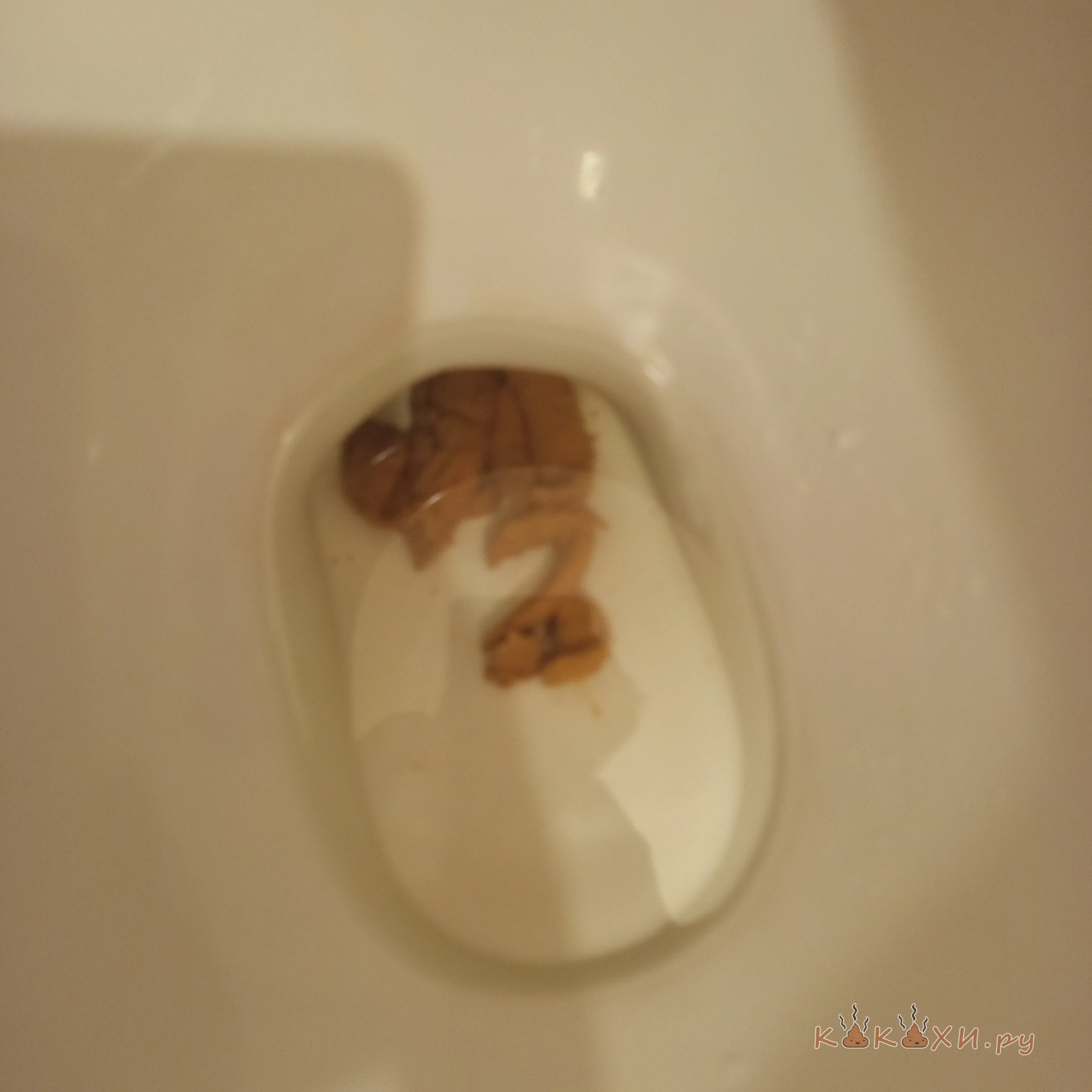 Утренний дристон ( Брызги )