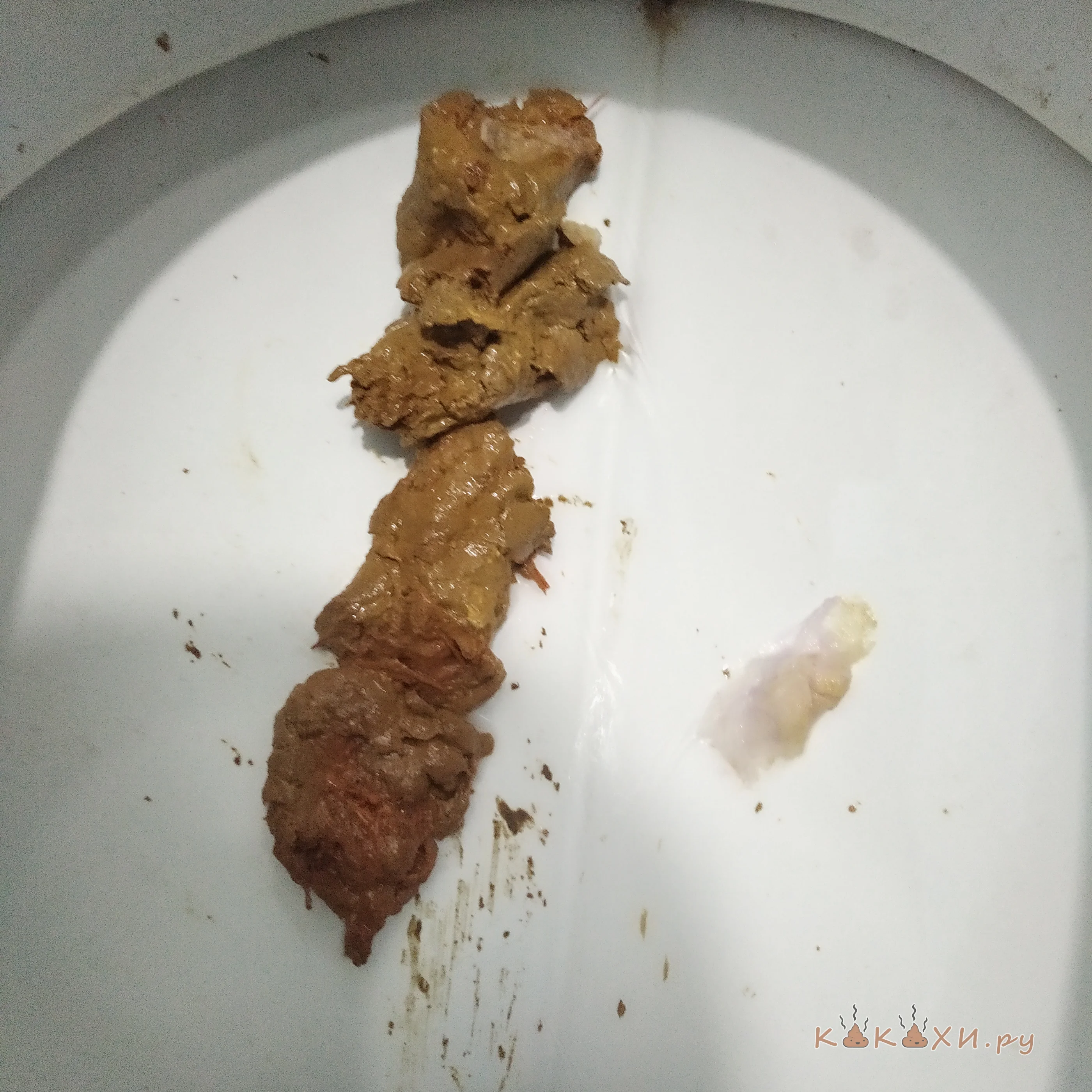 Змея ( Колбоса )