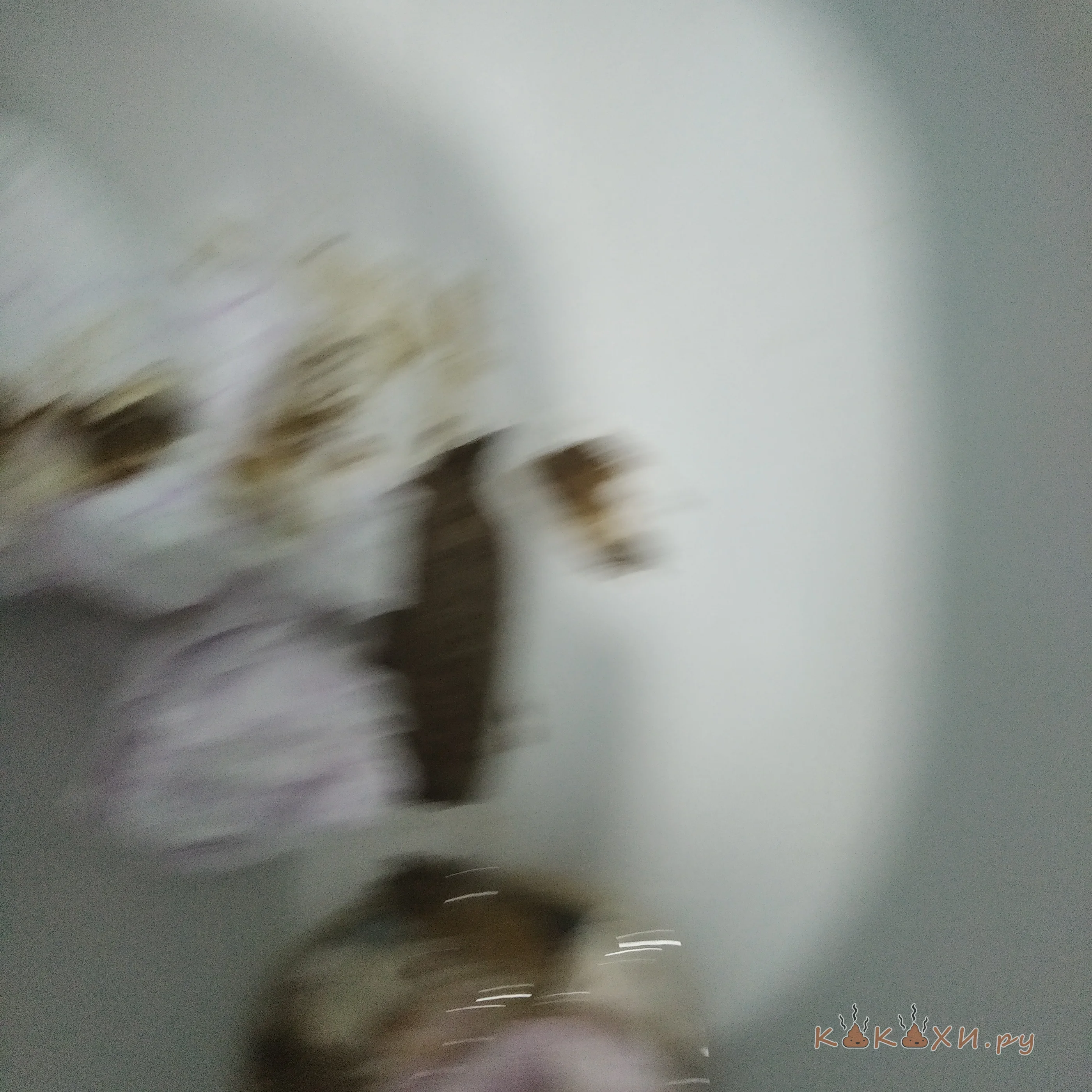 Говноед ( Человек говно )