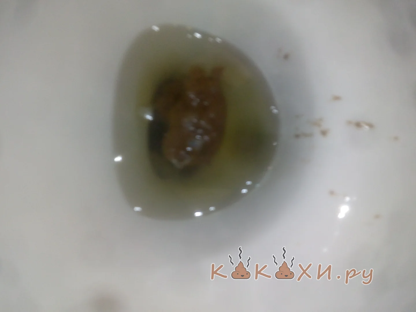 Йоу какашка ( Ошметки )