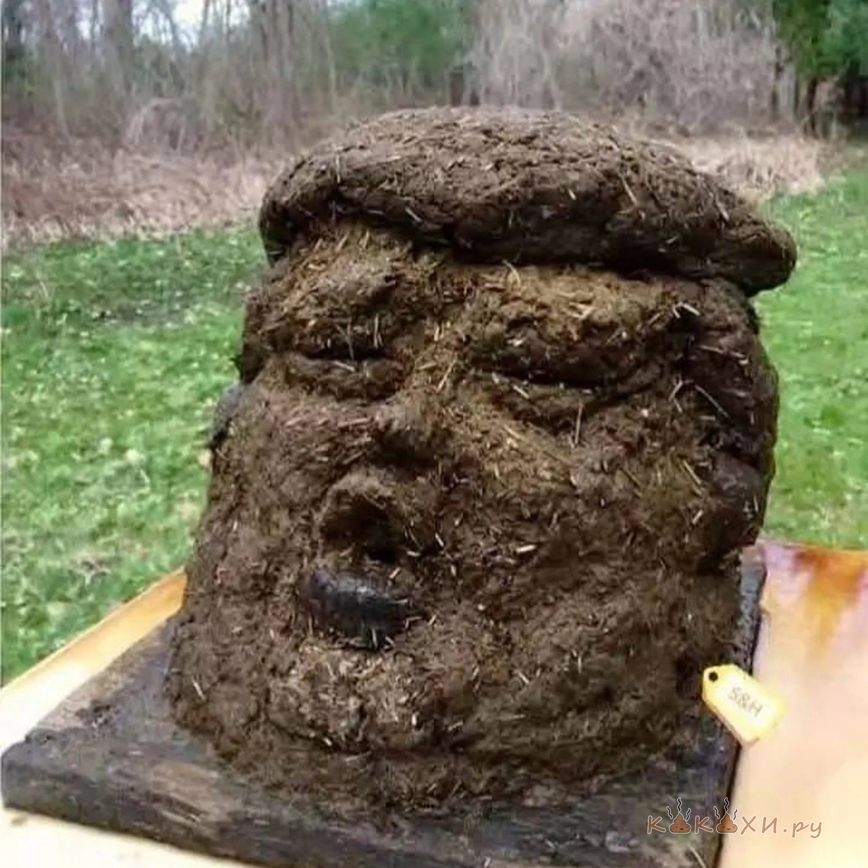 Моаи ( Непонятная )