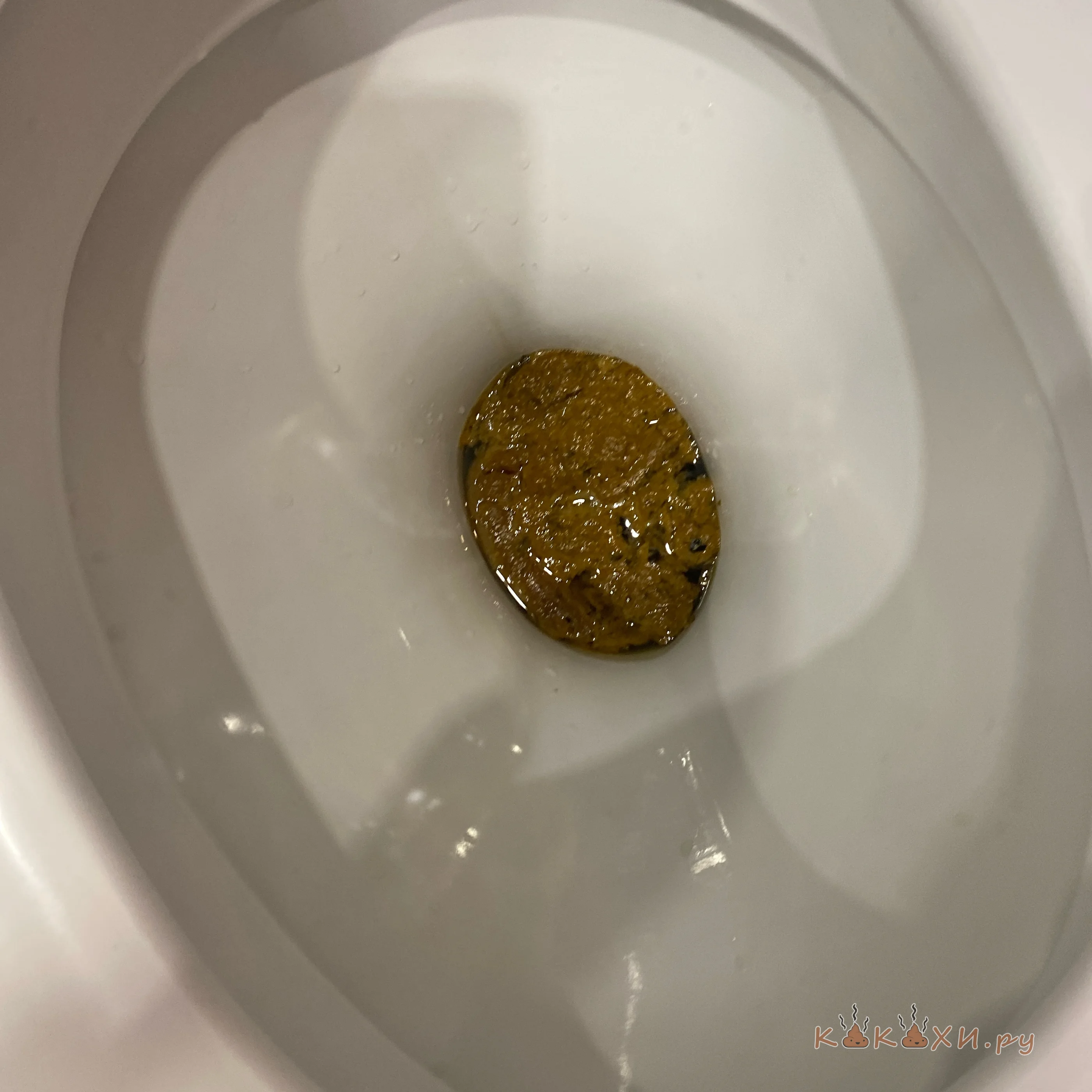 Водоросли ( Непонятная )