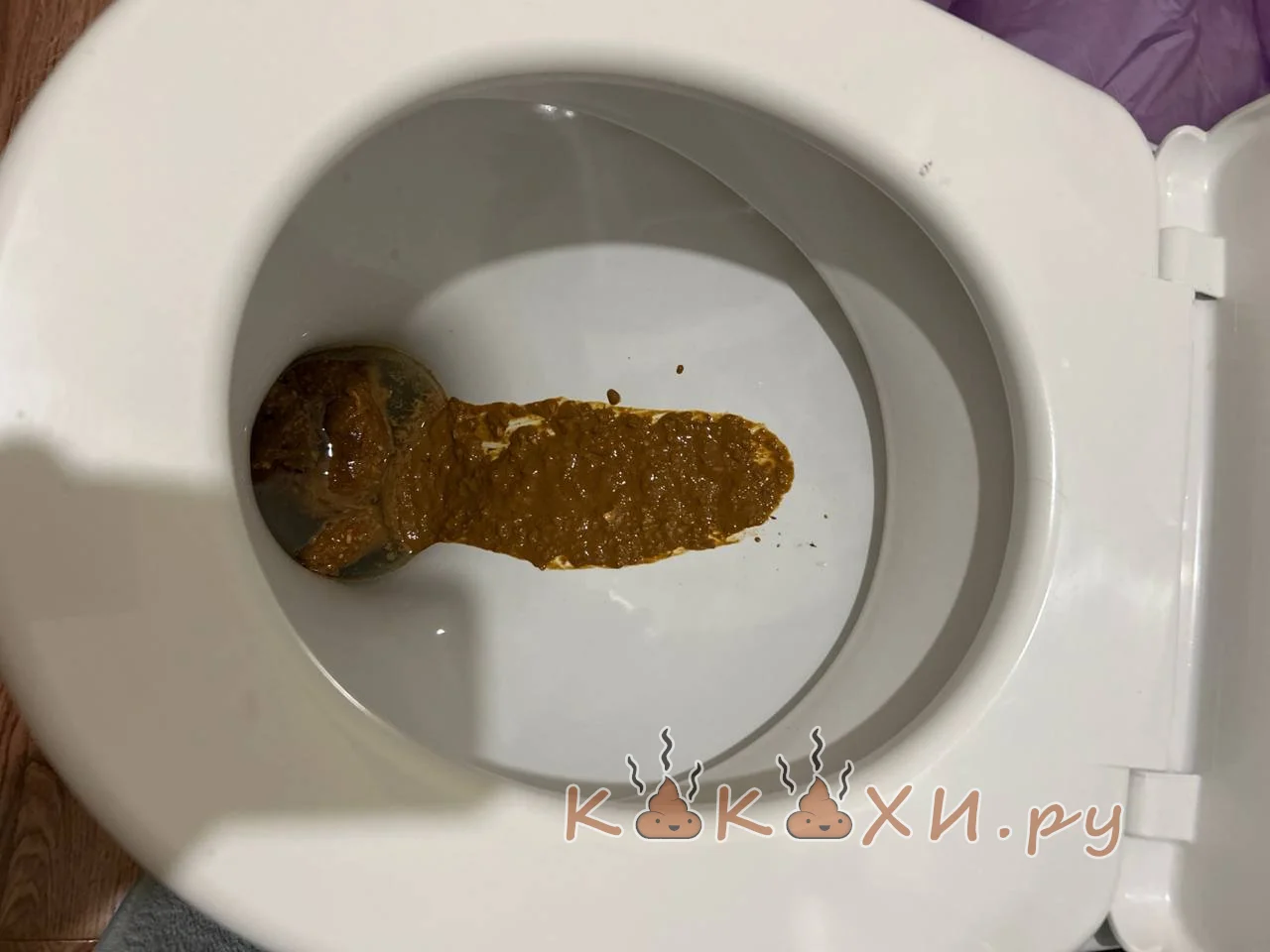 полный пиздец ( Подлива )