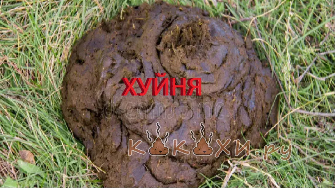 хуйня ( Непонятная )
