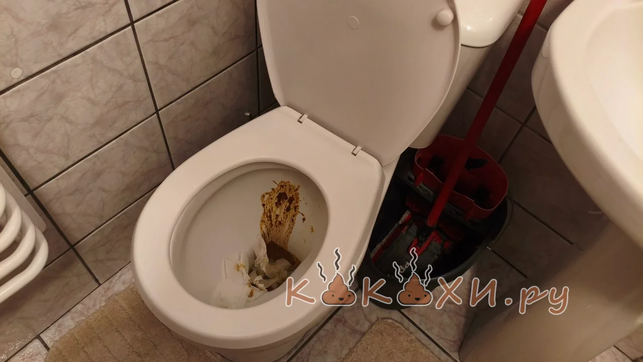 шлефовка ( Подлива )