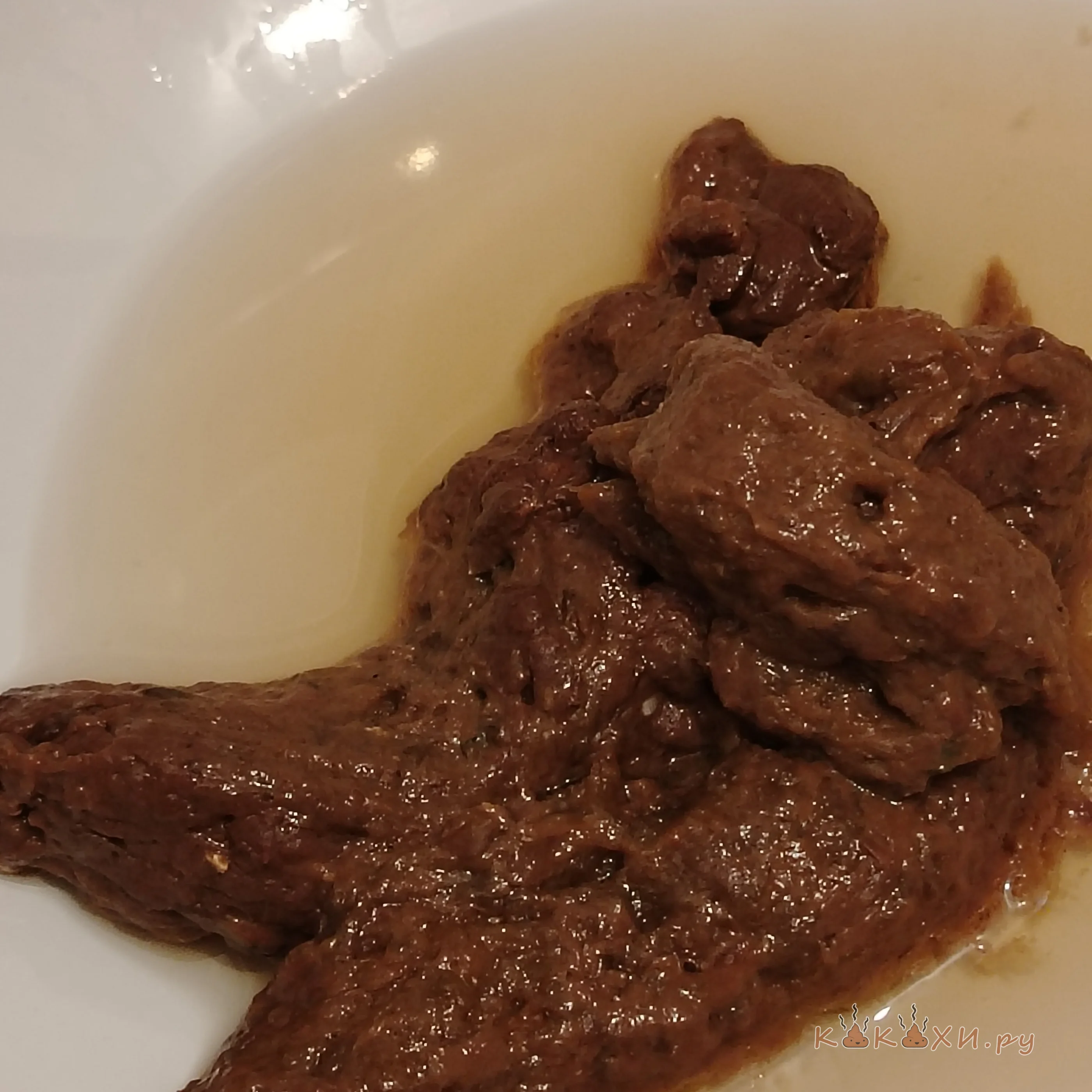 Куча ( Брызги )