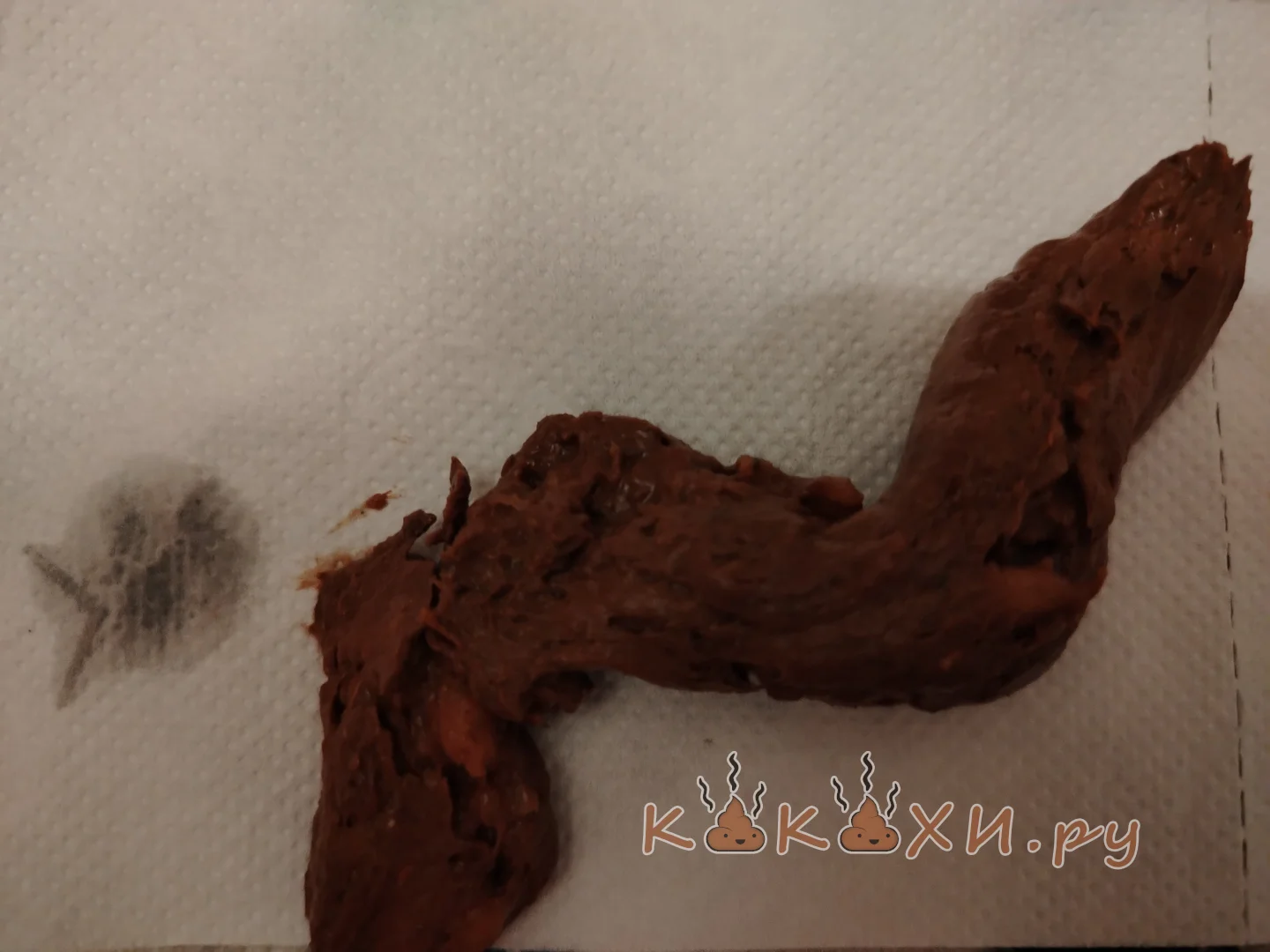 Змея ( Сосиска )