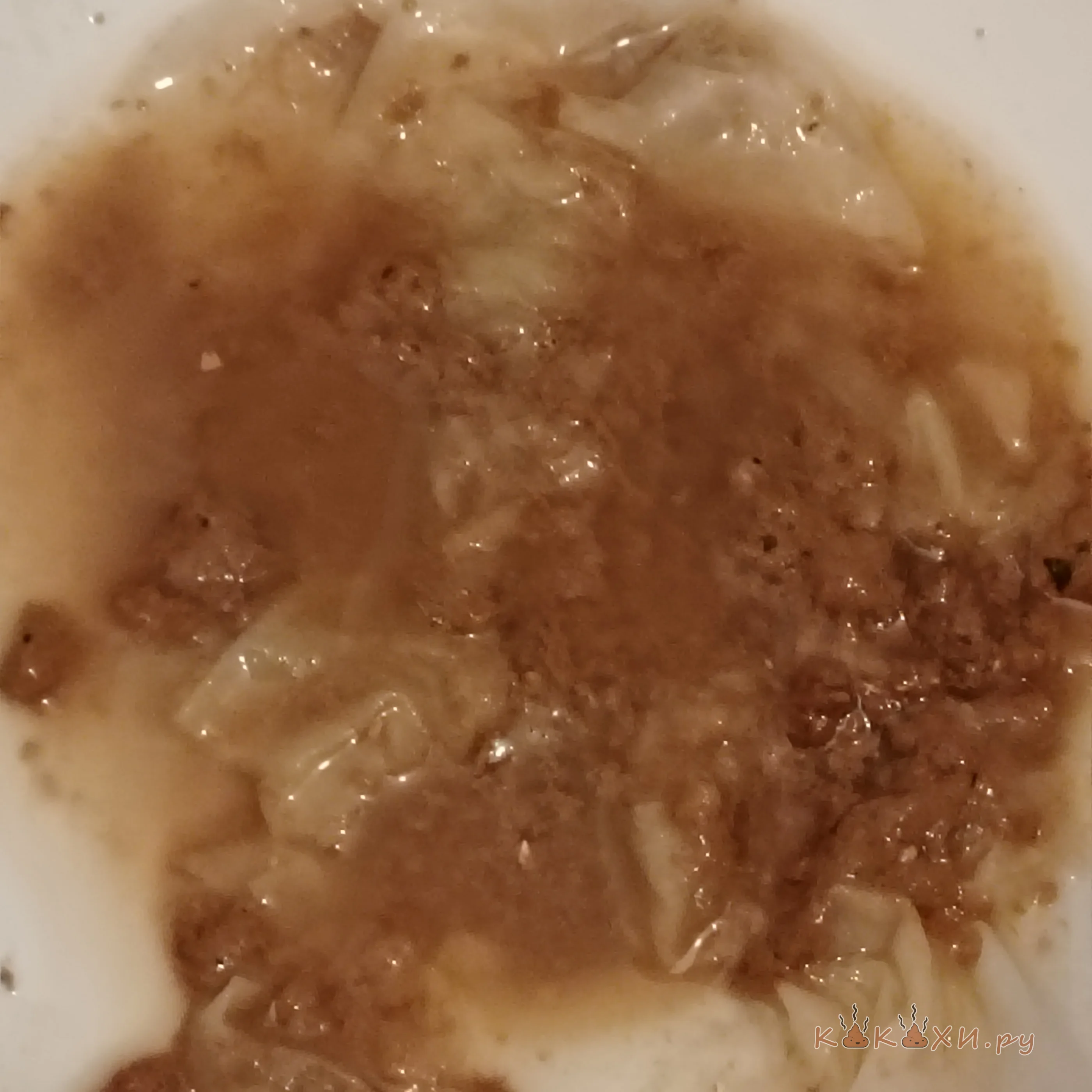 Суп из говна 2 ( Мой туалет )