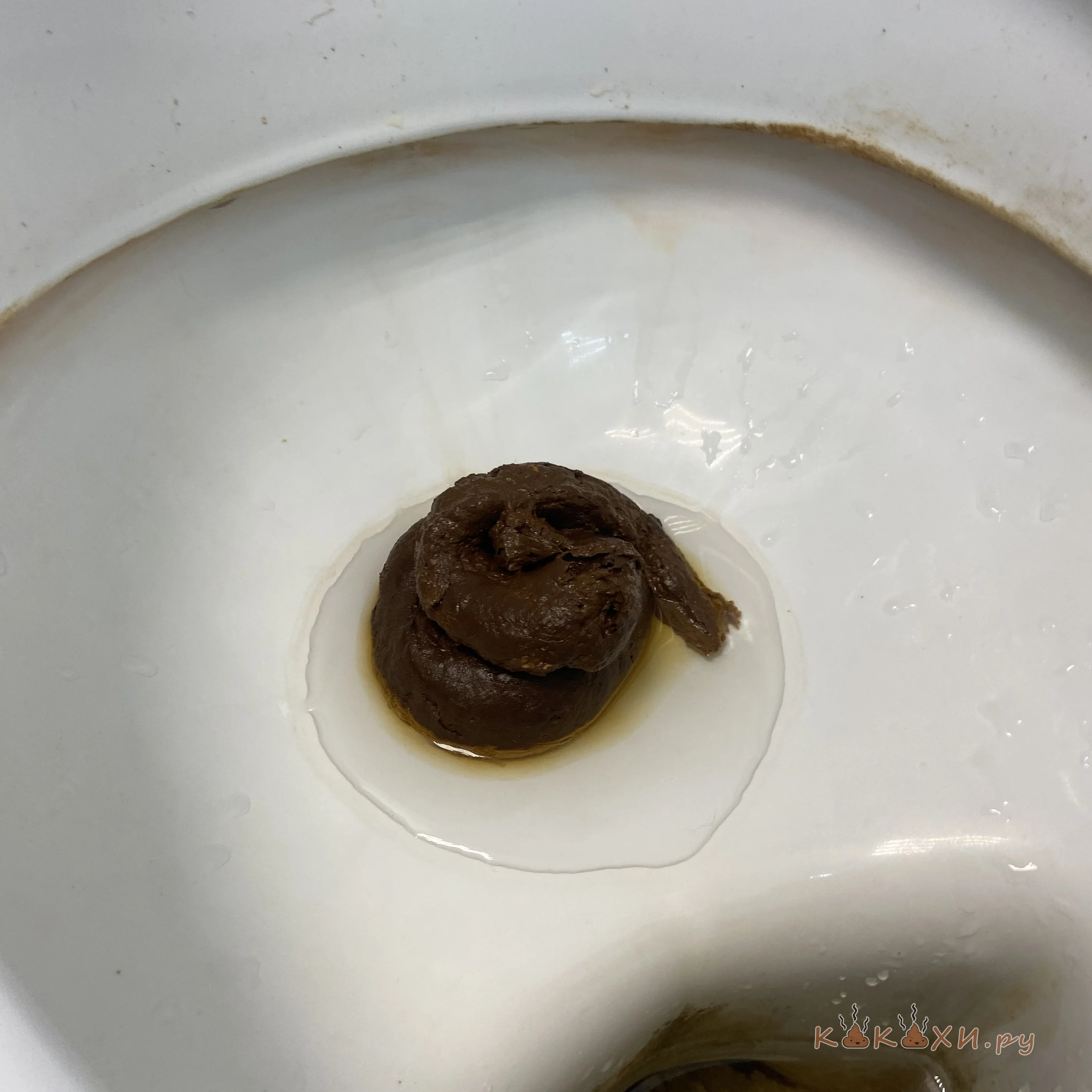 девочка грациозно прилегла ( Колбоса )