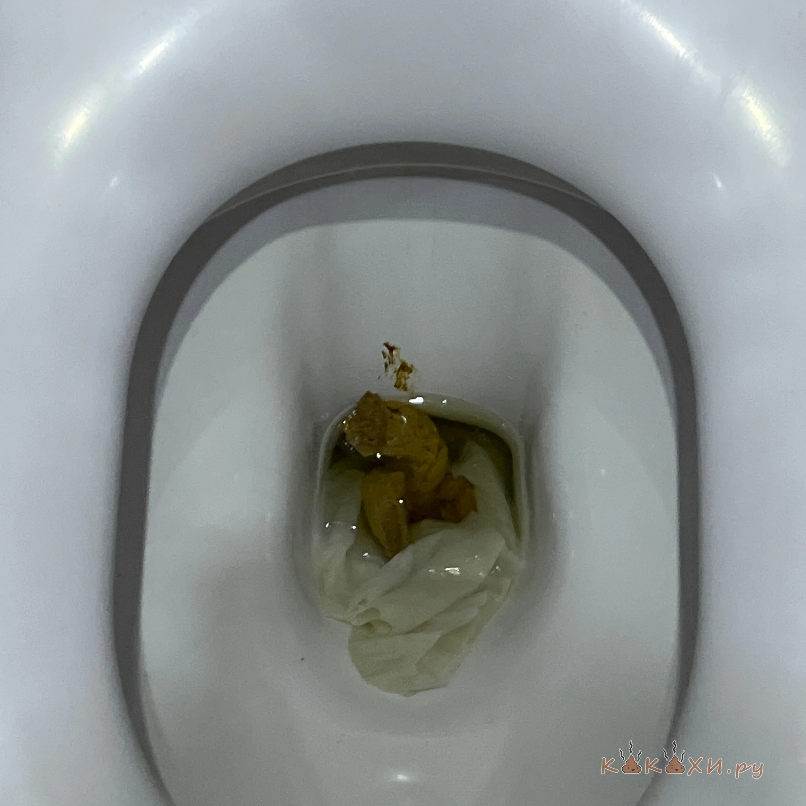 мухтарик ( Мой туалет )