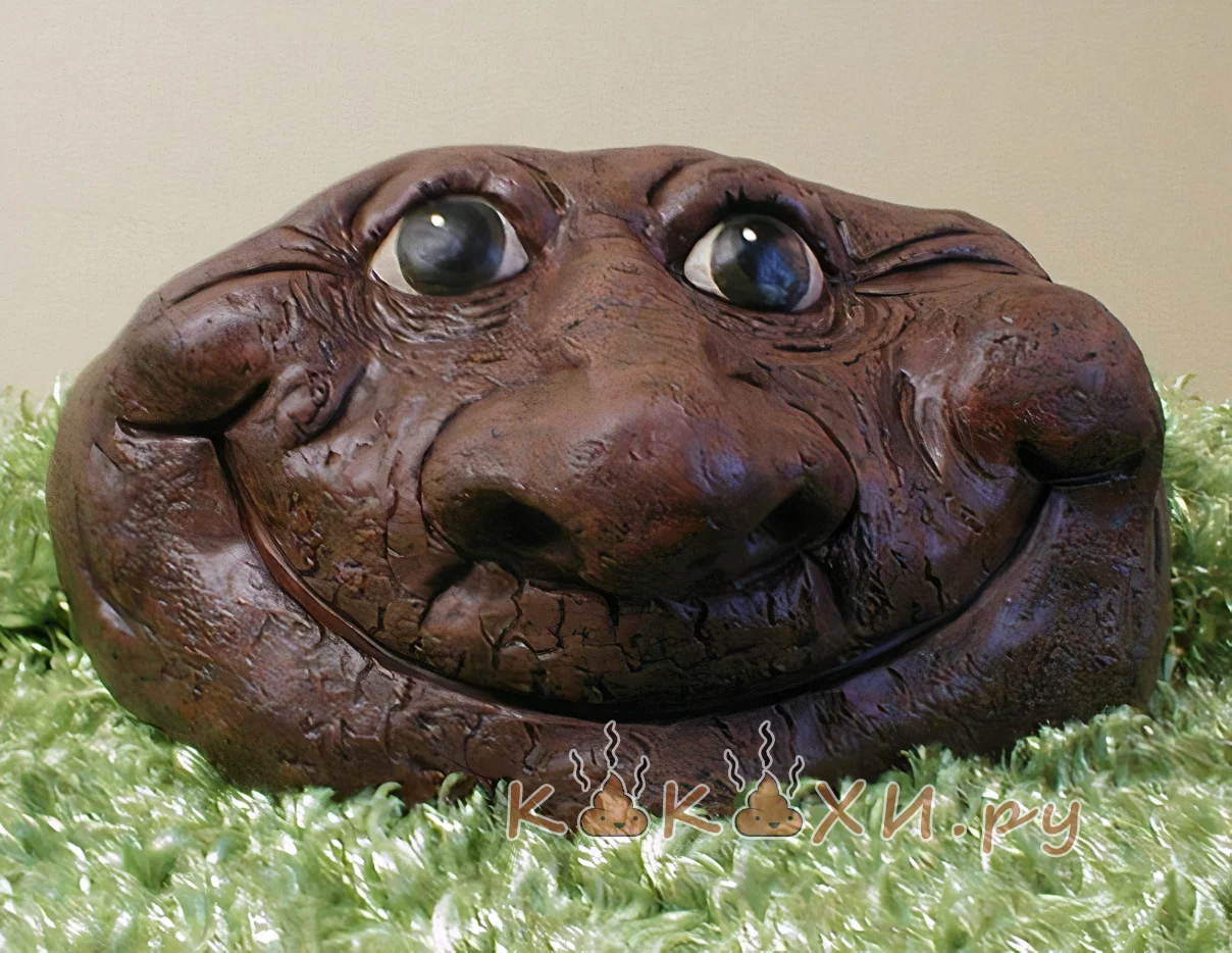 какашка ( Непонятная )