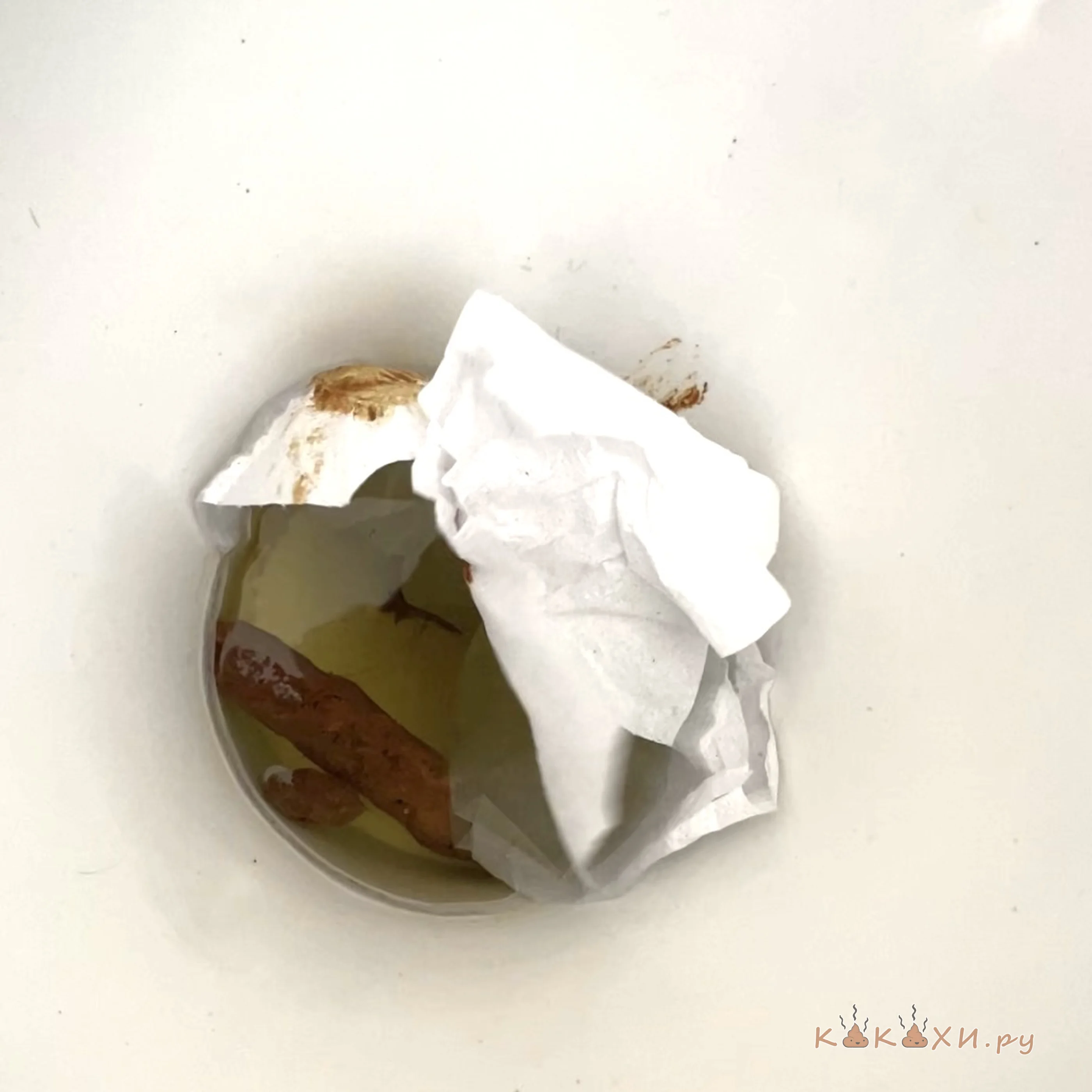 какашка школьная ( Сосиска )