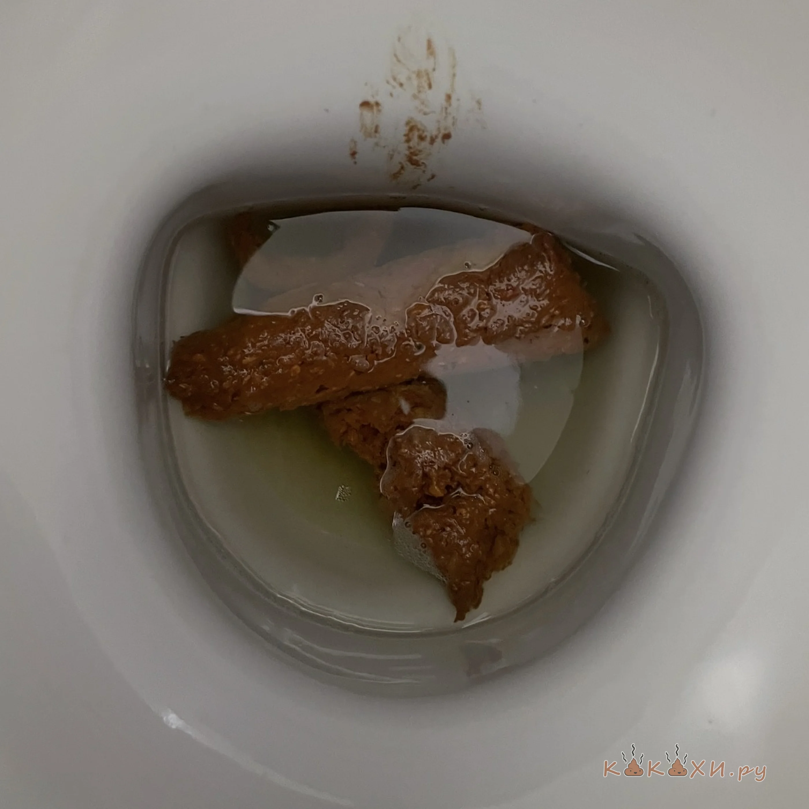 посрал ( Колбоса )