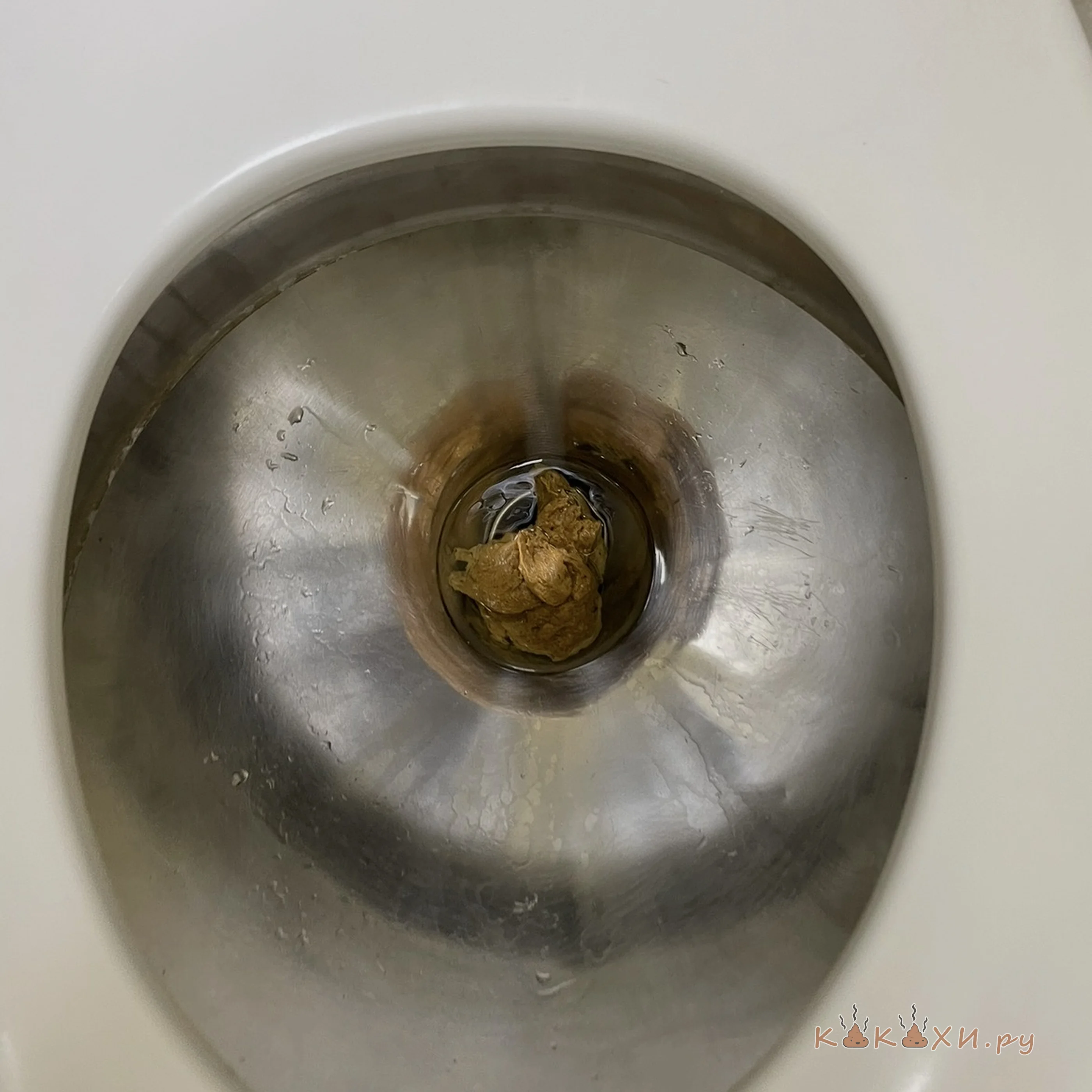 покакал в поезде ( Колбоса )