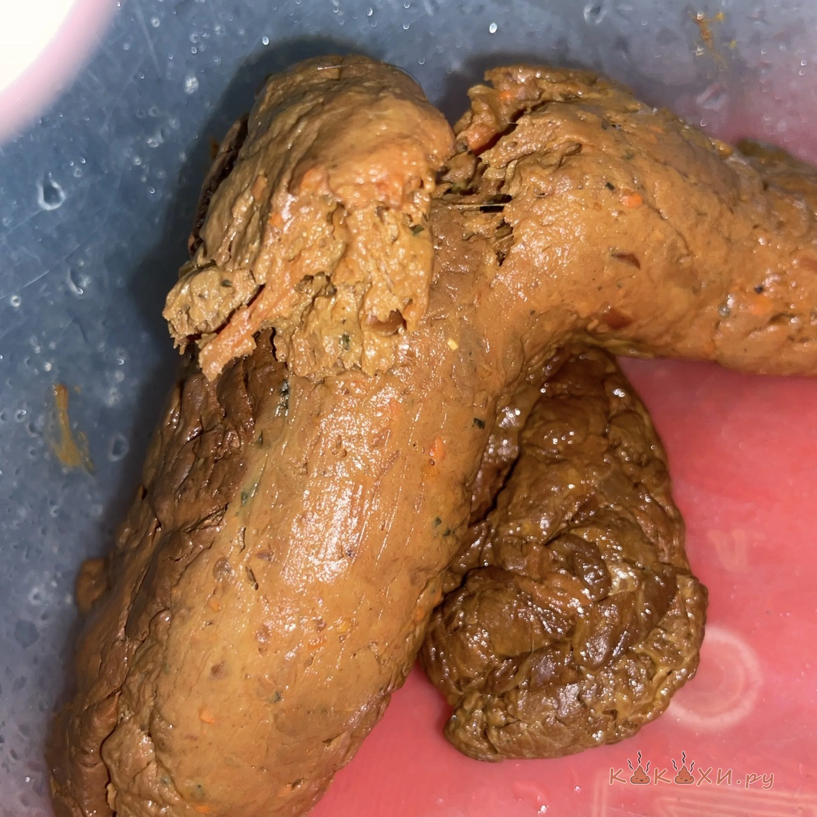 какаха ( Колбоса )