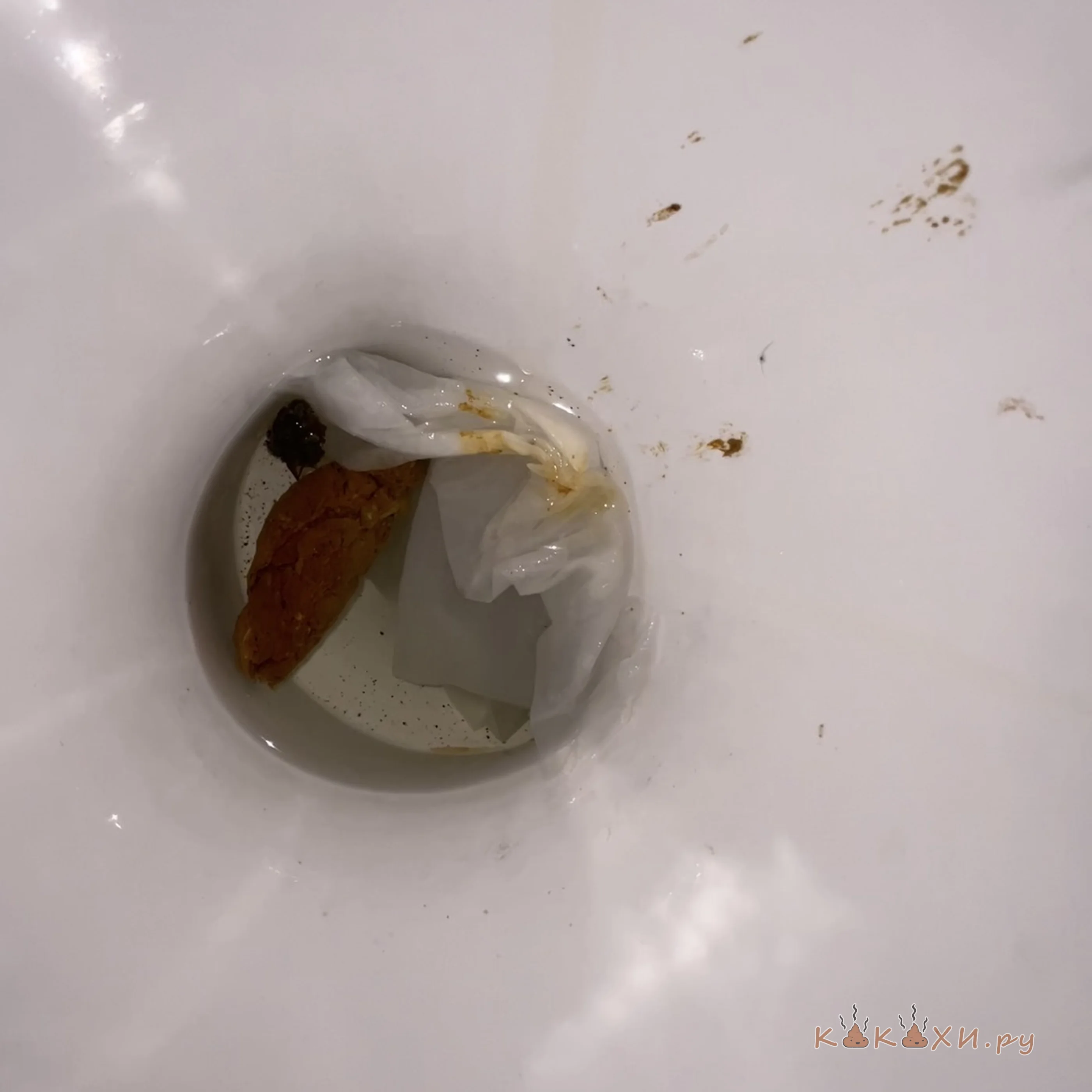 мини какаха ( Колбоса )