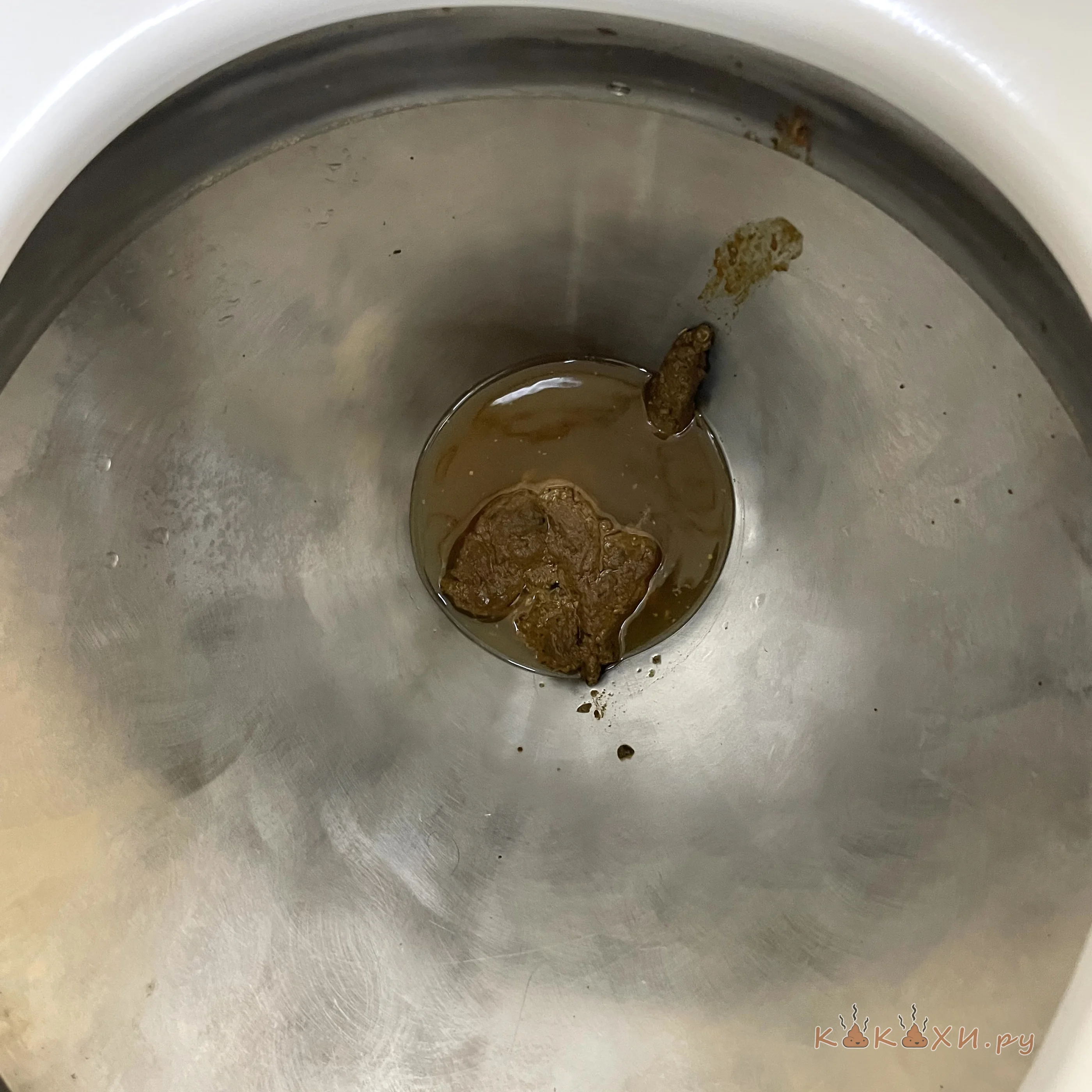 насрал в поезде ( Тяжелые роды )