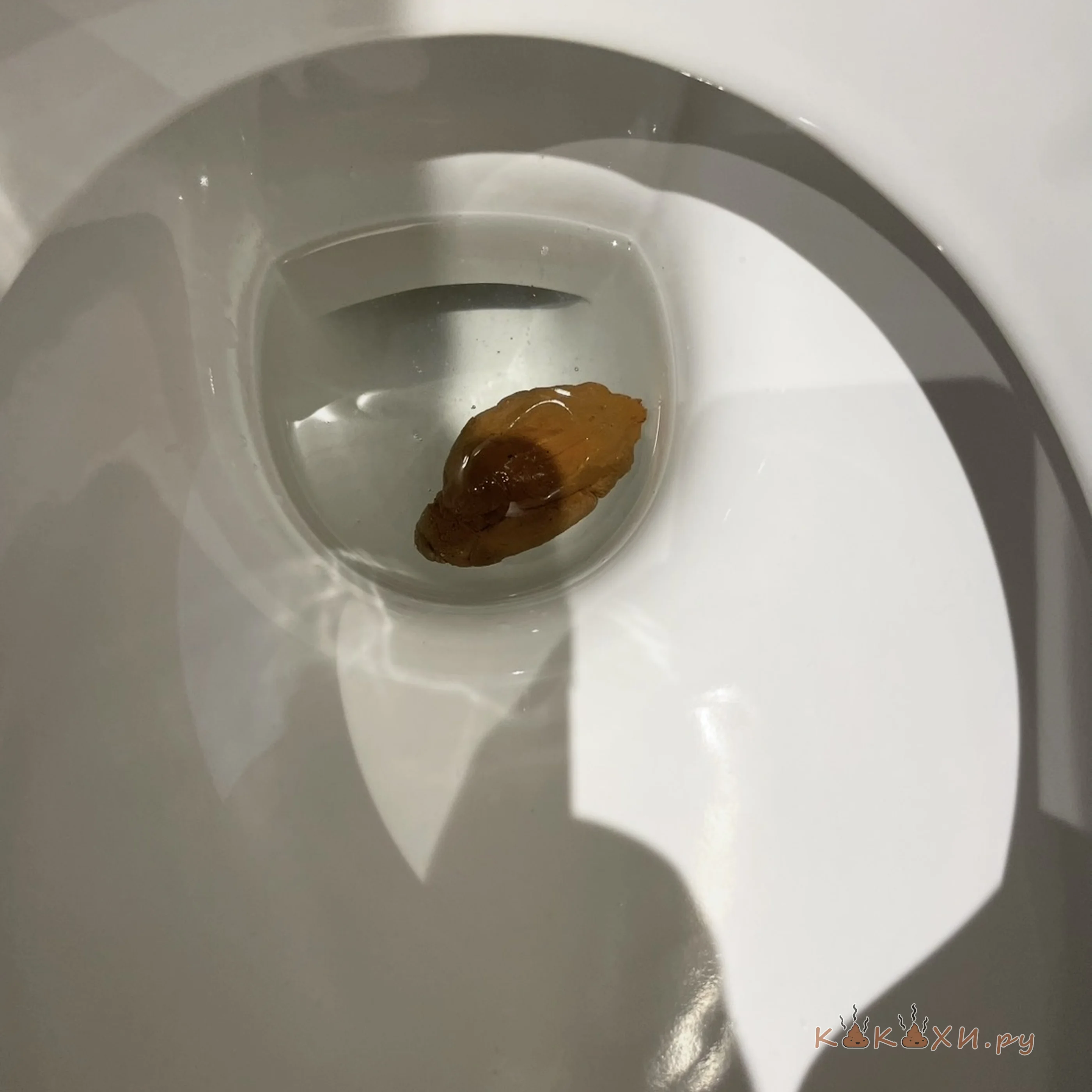 мини какашка ( Колбоса )