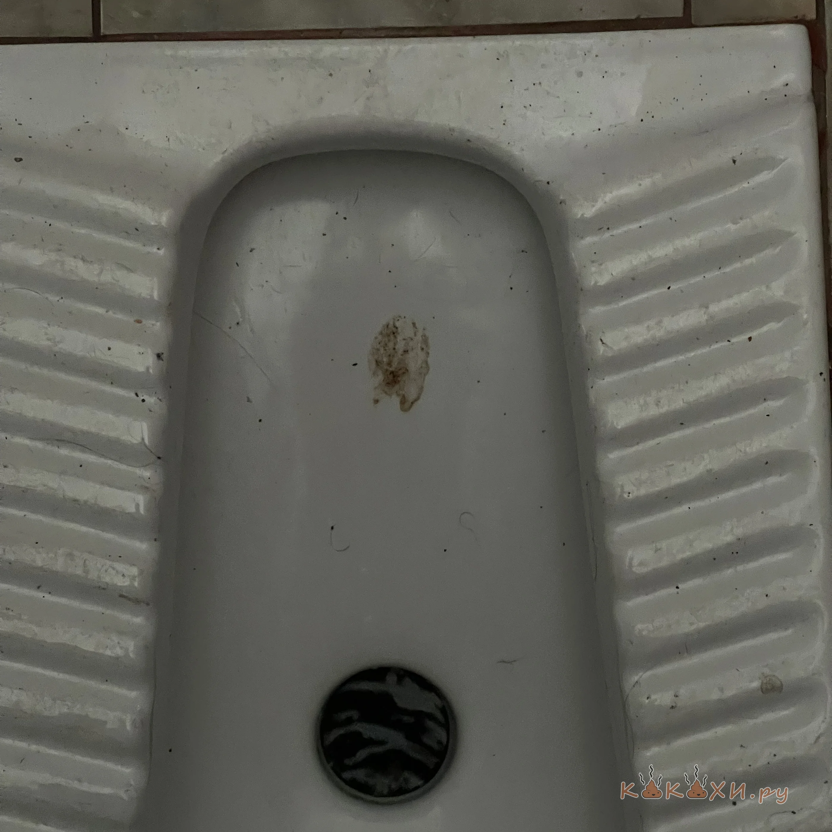 осеменил ( Брызги )