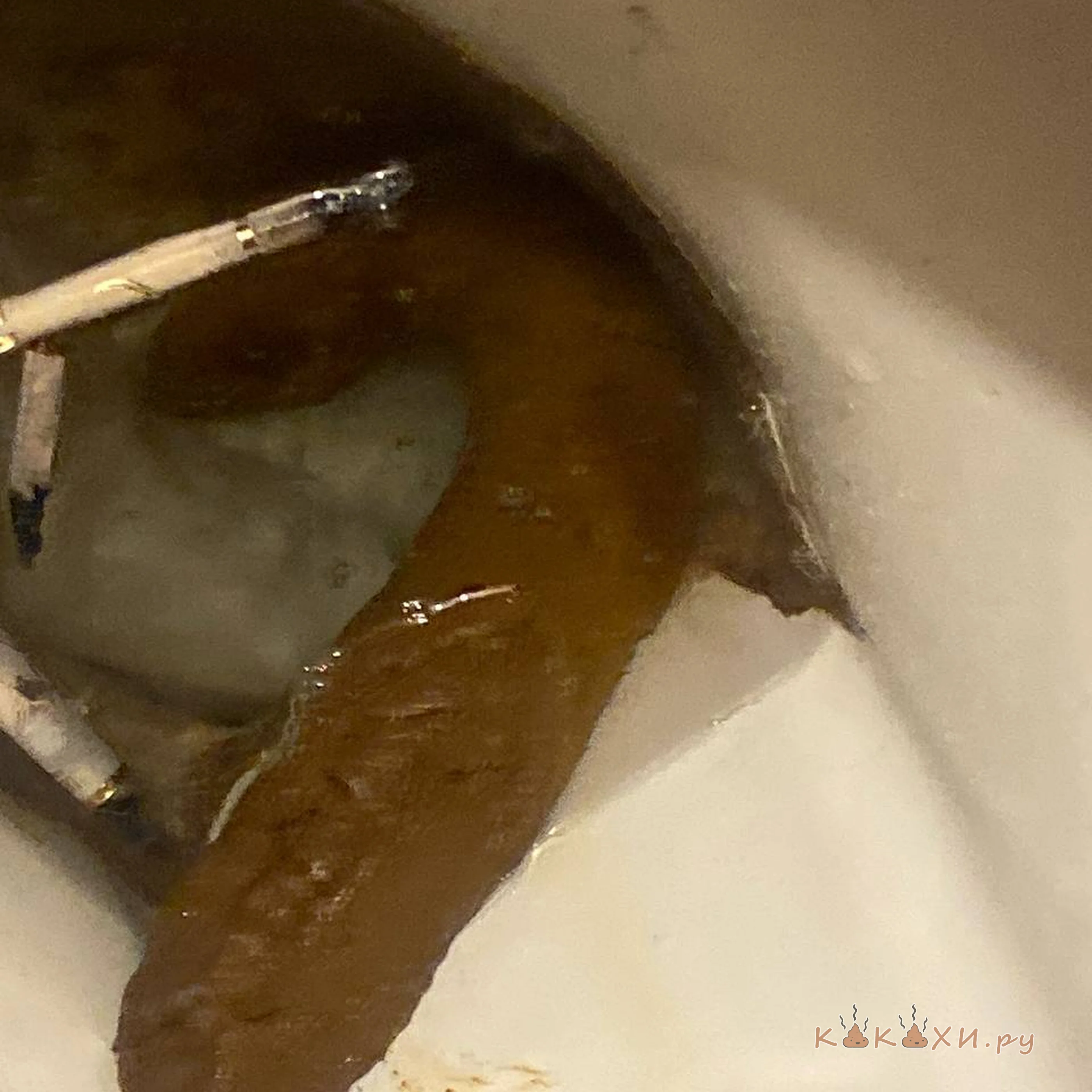 Любовь в Хрущевке ( Колбоса )